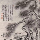 石涛画松，读你千遍也不厌倦