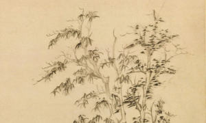 国画基础之树的画法,, 过程详细，一看就会！