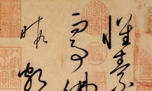 说清各种草书：章草、今草、大草（狂草）、小草、行草