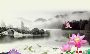 中国画的构图法则有哪些呢？老师：画面要均衡、有对比...
