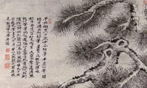 石涛画松，读你千遍也不厌倦