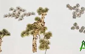 国画技法 松树的各种画法