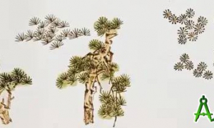 国画技法 松树的各种画法