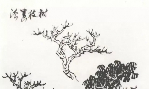 山水画教学参考——秋园教学画稿