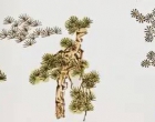 国画技法 松树的各种画法