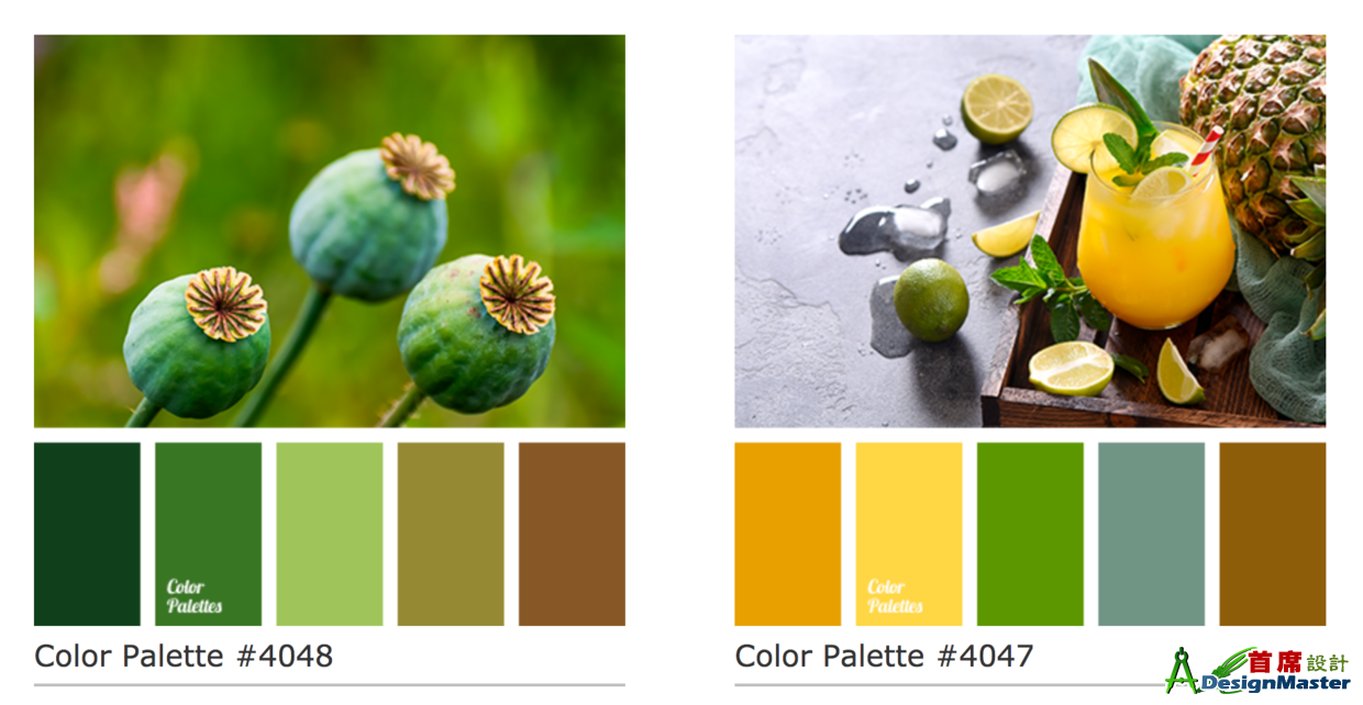 21141QP4-6.png
