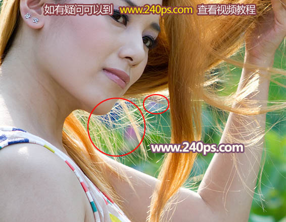 1018083.jpg