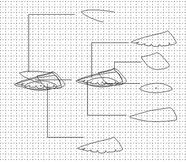 b3833a0e839cdac03b8c28af94aa9504.jpg