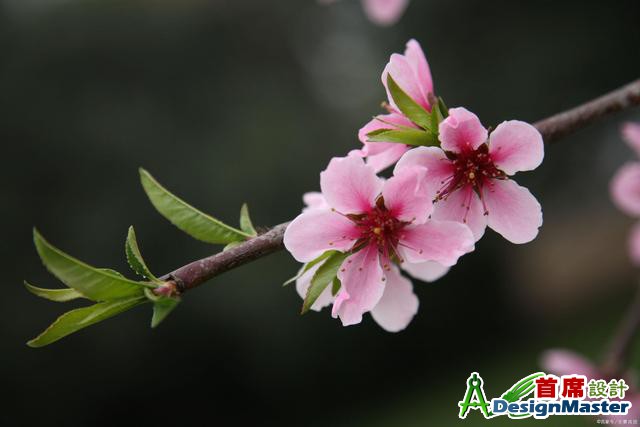 a1ec08fa513d26974773b043af7d3ffd4216d89d.jpg