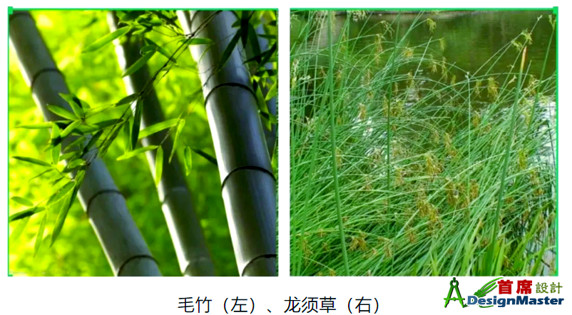 9585b9e55056e3db16198ea6457c54a9.png
