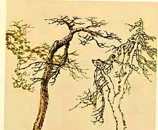 6c224f4a20a4462365e249aba891b4010df3d716.jpg