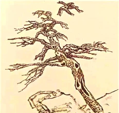 4034970a304e251f7e4b04bf96350f187e3e5378.jpg