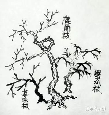 v2-72618b7525c62fe9204da601798506a2_1440w.jpg