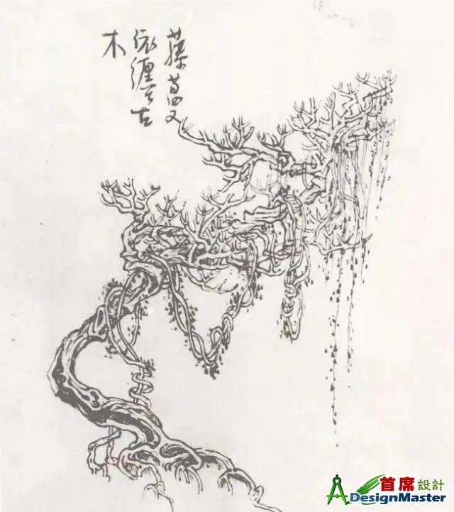 ?url=http%3A%2F%2Fdingyue.ws.126.net%2F2025%2F0122%2F3178f699j00sqhwdj001dd200hs00k1g00g200i3.jpg